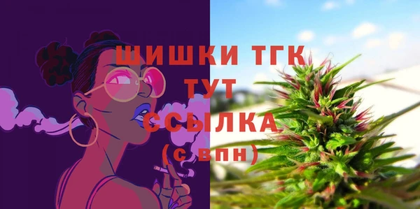 СК Инта