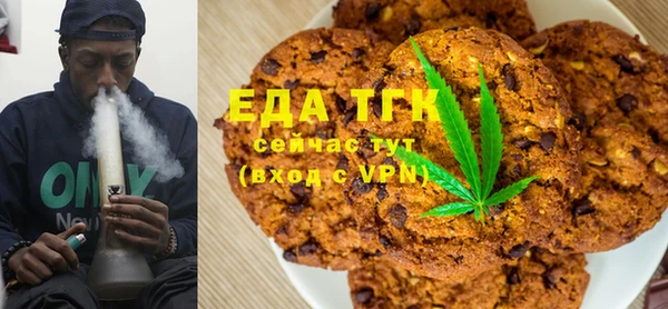 СК Инта