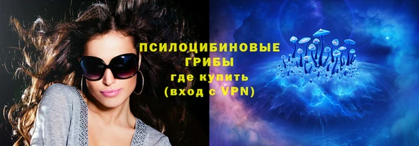 СК Инта